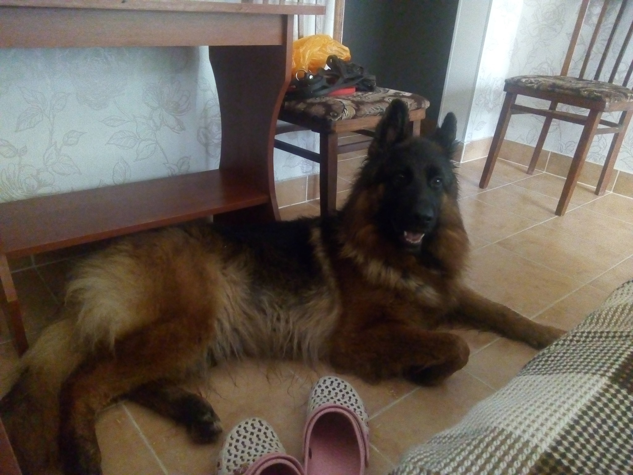 Zhasmin in the room 1.jpg